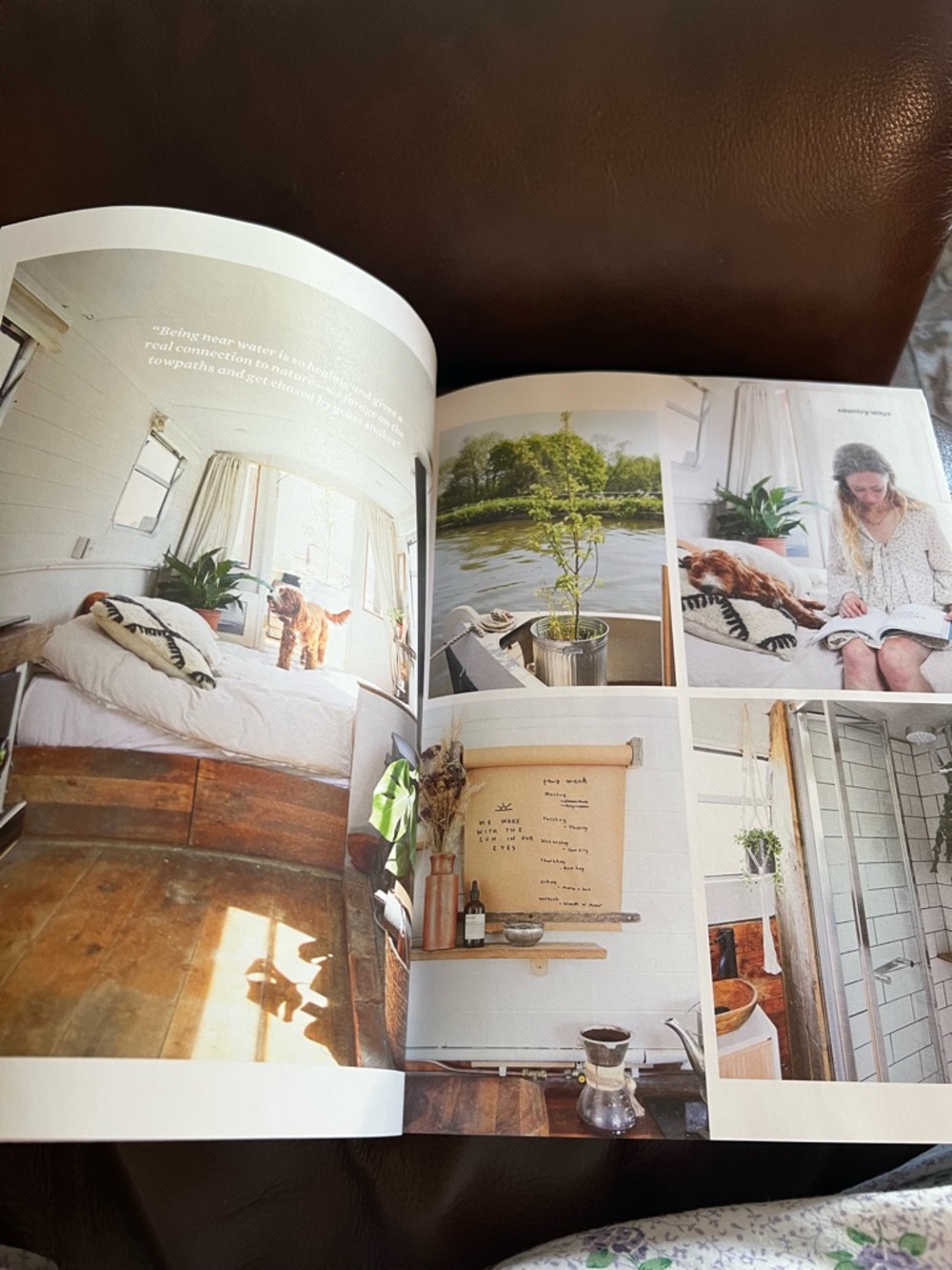 Homebird Magazine - Picture 14 of 14
